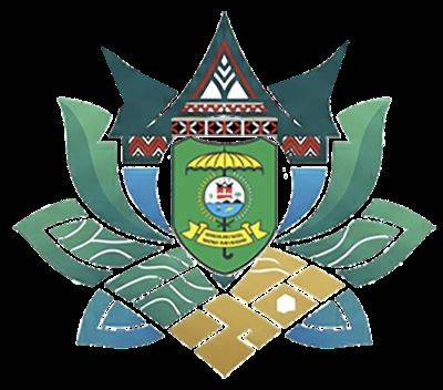 Logo Pemetaan PBB